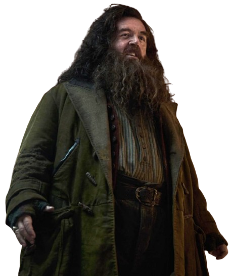 Nick Frost Harry Potter Rubeus Hagrid Coat - Image 4